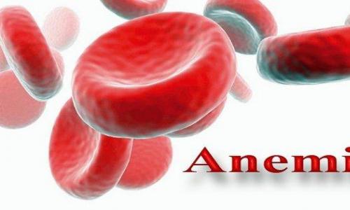 Как лечить анемию у взрослых